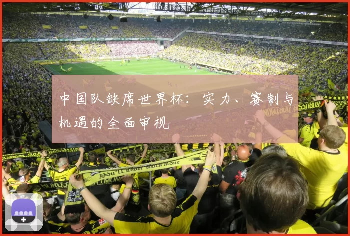 中国队缺席世界杯:实力、赛制与机遇的全面审视