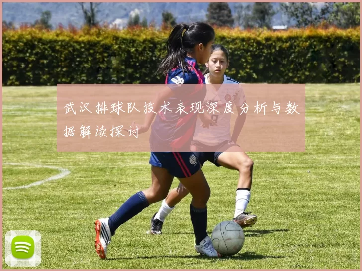 武汉排球队技术表现深度分析与数据解读探讨