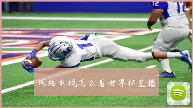 网络电视怎么看世界杯直播
