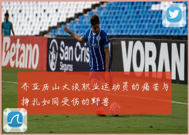 乔亚历山大谈职业运动员的痛苦与挣扎如同受伤的野兽