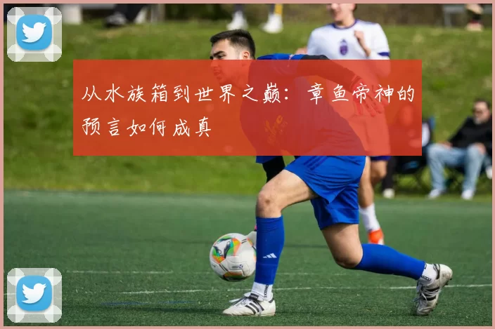 从水族箱到世界之巅:章鱼帝神的预言如何成真