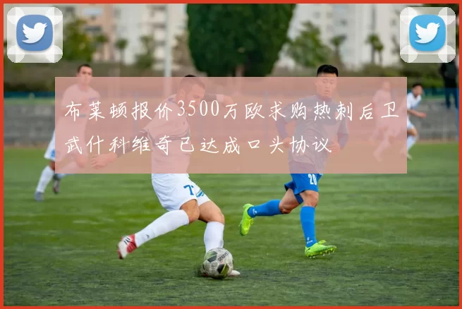 布莱顿报价3500万欧求购热刺后卫武什科维奇已达成口头协议