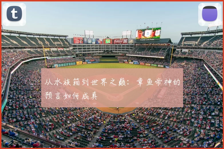 从水族箱到世界之巅：章鱼帝神的预言如何成真
