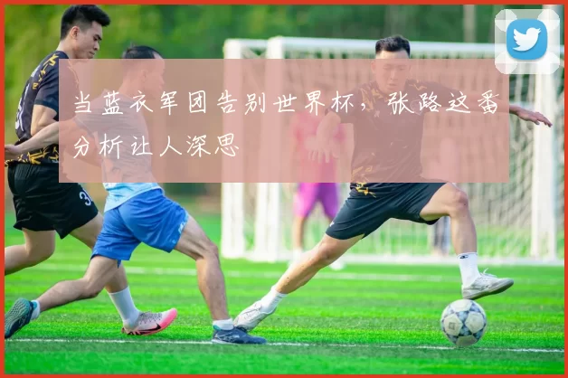当蓝衣军团告别世界杯,张路这番分析让人深思
