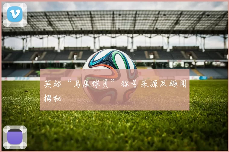 英超“鸟屎球员”称号来源及趣闻揭秘