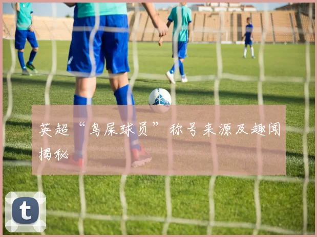 英超“鸟屎球员”称号来源及趣闻揭秘