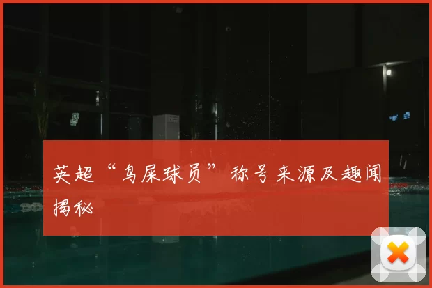 英超“鸟屎球员”称号来源及趣闻揭秘