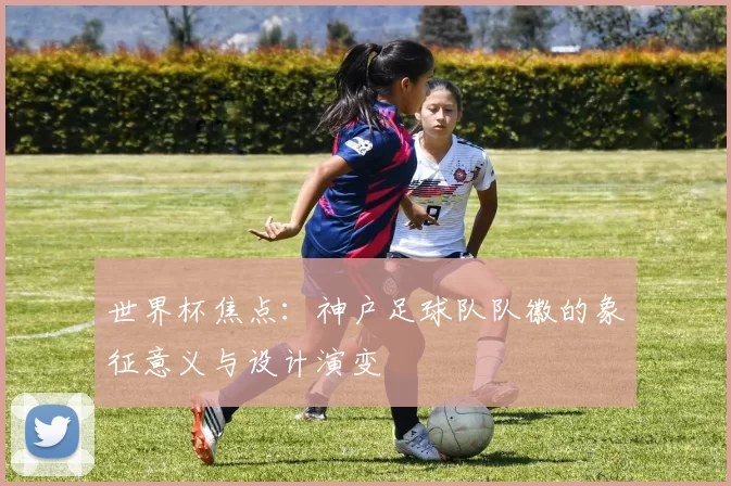 世界杯焦点:神户足球队队徽的象征意义与设计演变