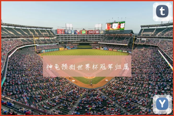 神龟预测世界杯冠军归属