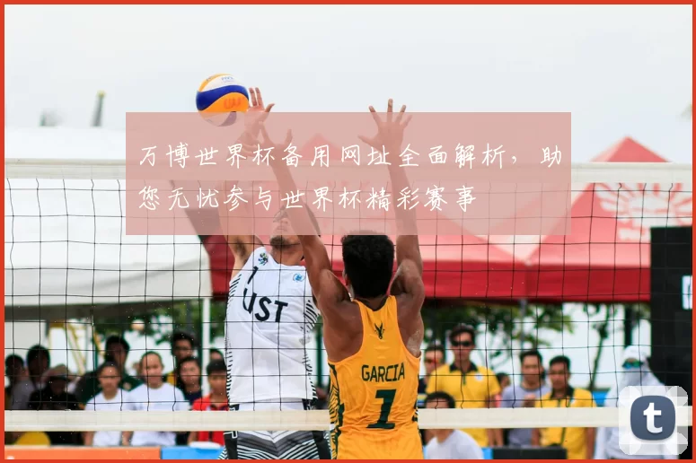 万博世界杯备用网址全面解析，助您无忧参与世界杯精彩赛事
