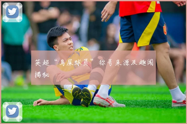 英超“鸟屎球员”称号来源及趣闻揭秘