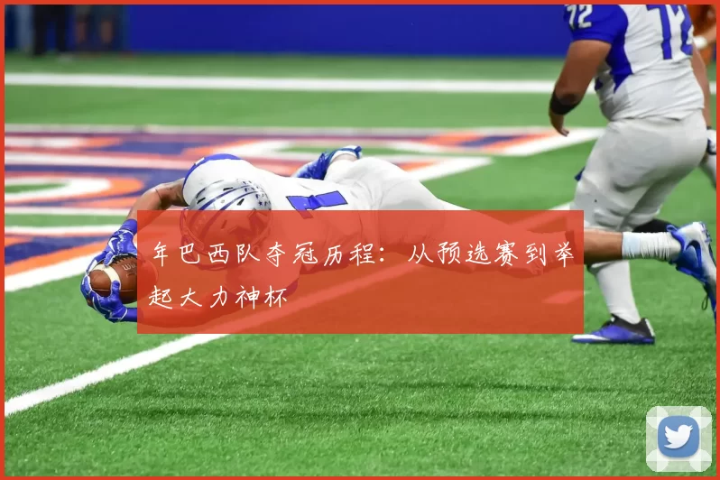 年巴西队夺冠历程:从预选赛到举起大力神杯