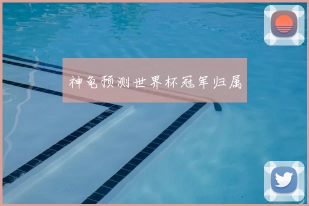 神龟预测世界杯冠军归属