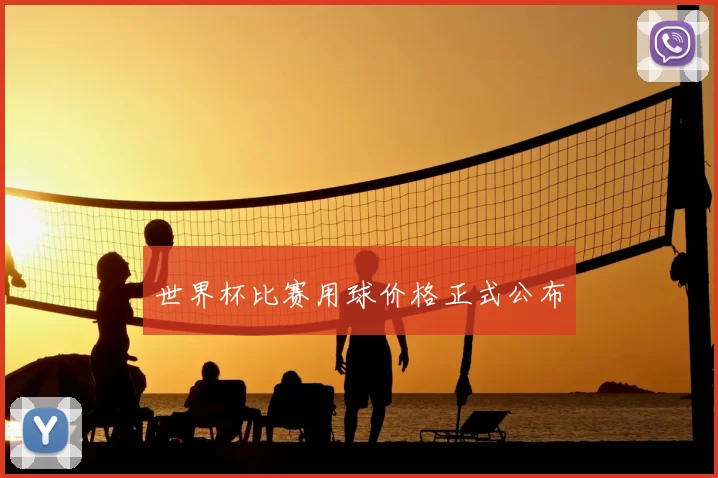 世界杯比赛用球价格正式公布