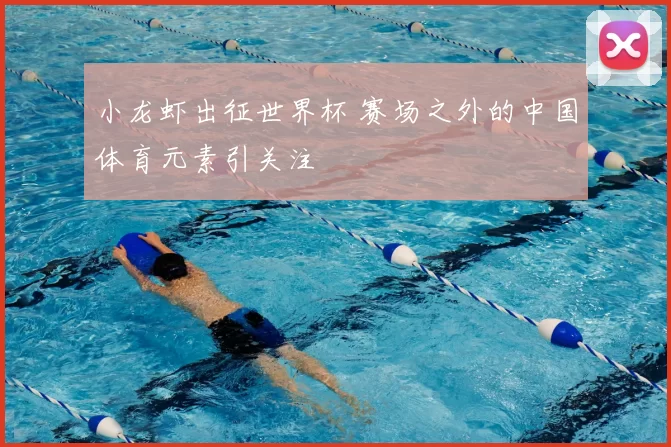 小龙虾出征世界杯 赛场之外的中国体育元素引关注