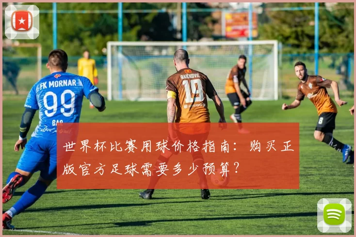 世界杯比赛用球价格指南:购买正版官方足球需要多少预算?