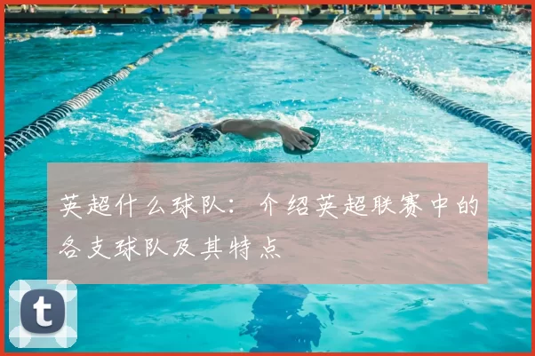 英超什么球队：介绍英超联赛中的各支球队及其特点