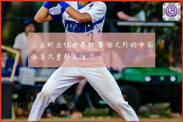 小龙虾出征世界杯 赛场之外的中国体育元素引关注
