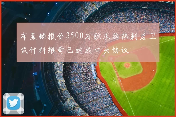 布莱顿报价3500万欧求购热刺后卫武什科维奇已达成口头协议