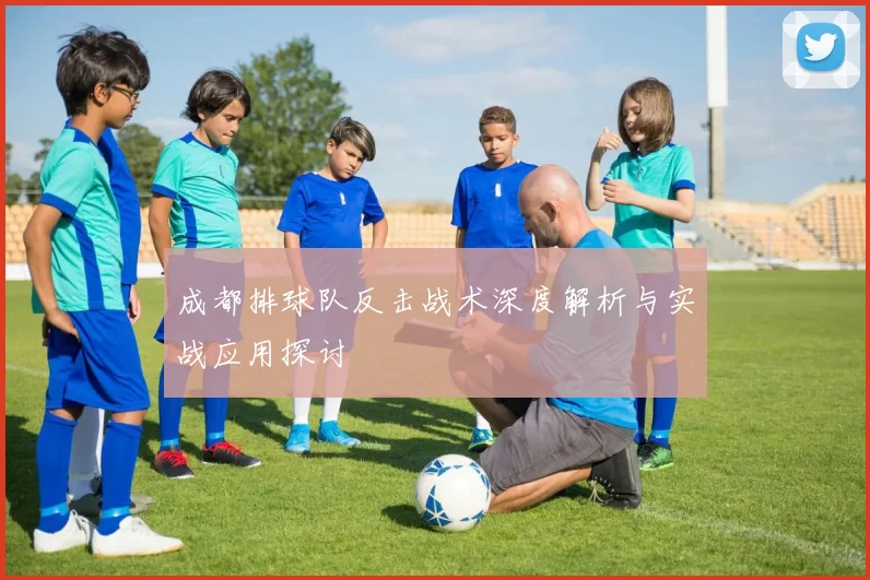 成都排球队反击战术深度解析与实战应用探讨