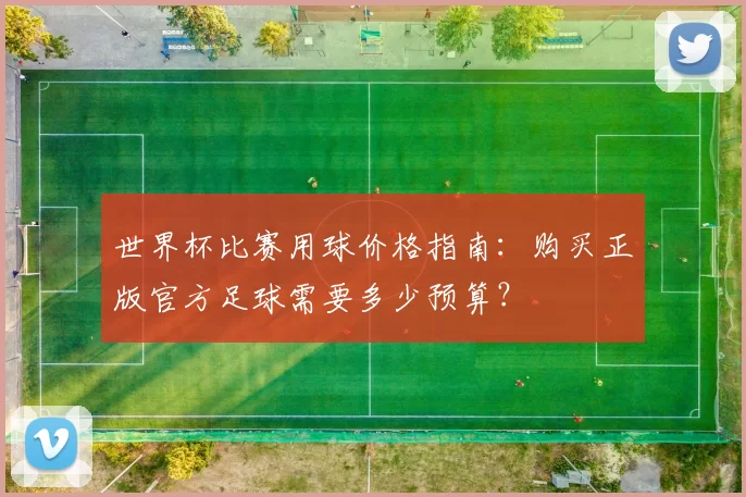 世界杯比赛用球价格指南：购买正版官方足球需要多少预算？