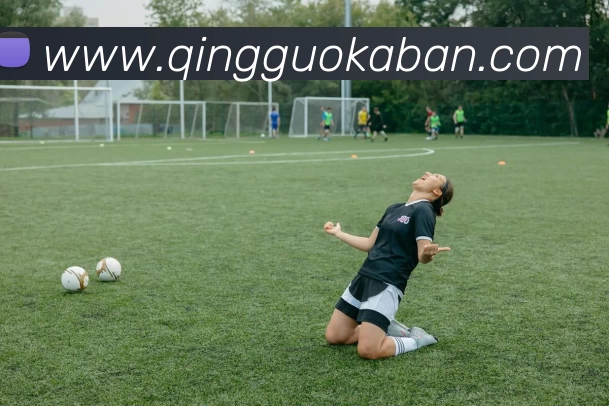 App Interface Preview