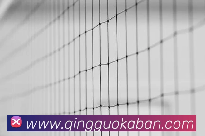 ag真人APP 封面图